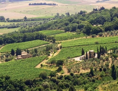 Montalcino: una guida per gli amanti del vino e del cibo (enoturismo)