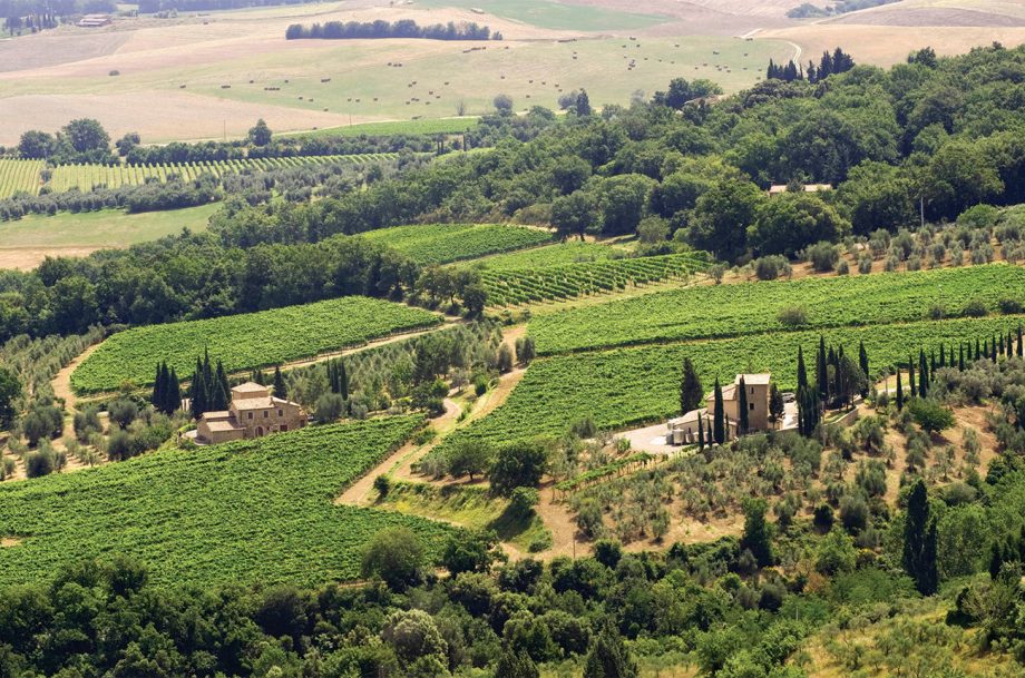 Il moderno rinascimento del vino di Montalcino fu innescato alla fine degli anni '70 dall'investimento della famiglia americana Mariani nel Castello Banfi